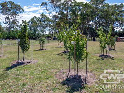 74a Heron Street, Glen Innes