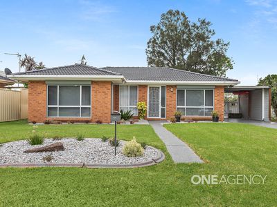 11 Flame Tree Place, Albion Park Rail