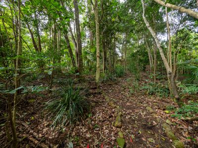 21 Carrington Drive, Flaxton