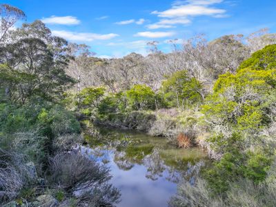 Lot 193 / 443 Back Creek Road, Mongarlowe