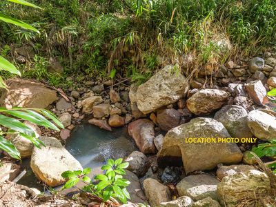 807 Left Bank Road, Mullumbimby Creek