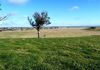 * Burrendong Way, Euchareena