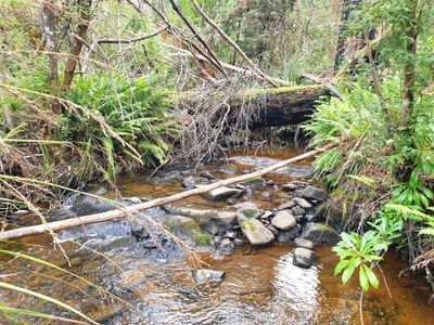 Lot 3 Costains Road, Geeveston