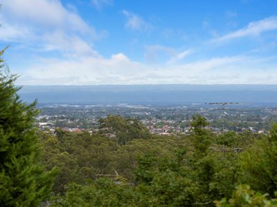 432 Old Northern Road, Glenhaven