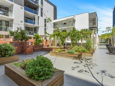 6 / 99 PALMERSTON STREET, Perth