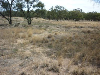 Lot 2 Brikkle Road, Brim