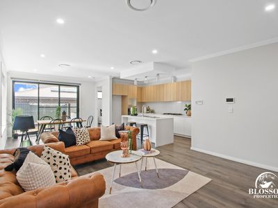 8 Diamondback Parade(Melonba), Marsden Park