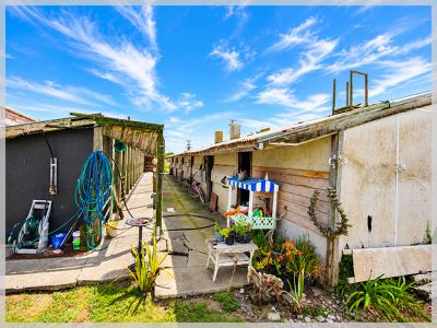 0 Bergin, Foxton