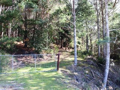 Land Off Steeles Road, Nicholls Rivulet