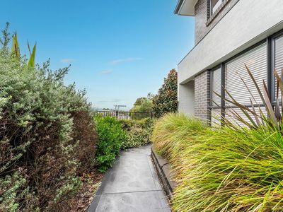 15 Mary Mackillop Drive, Woongarrah