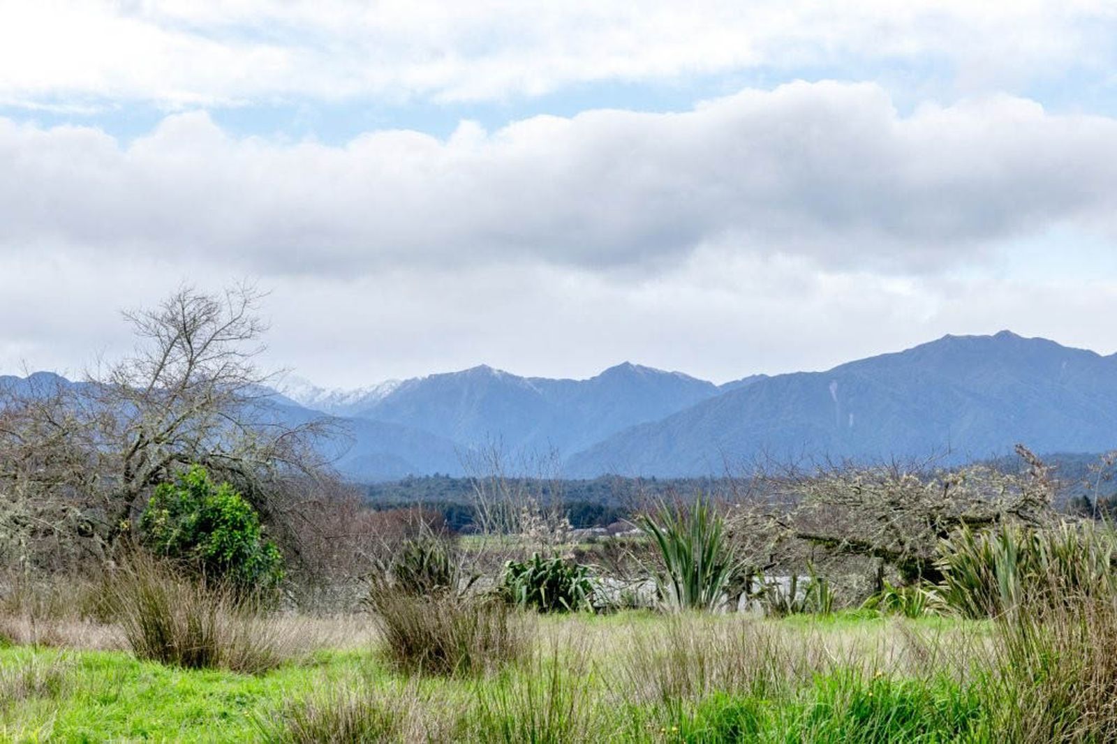 161 Woodstock-Rimu Road