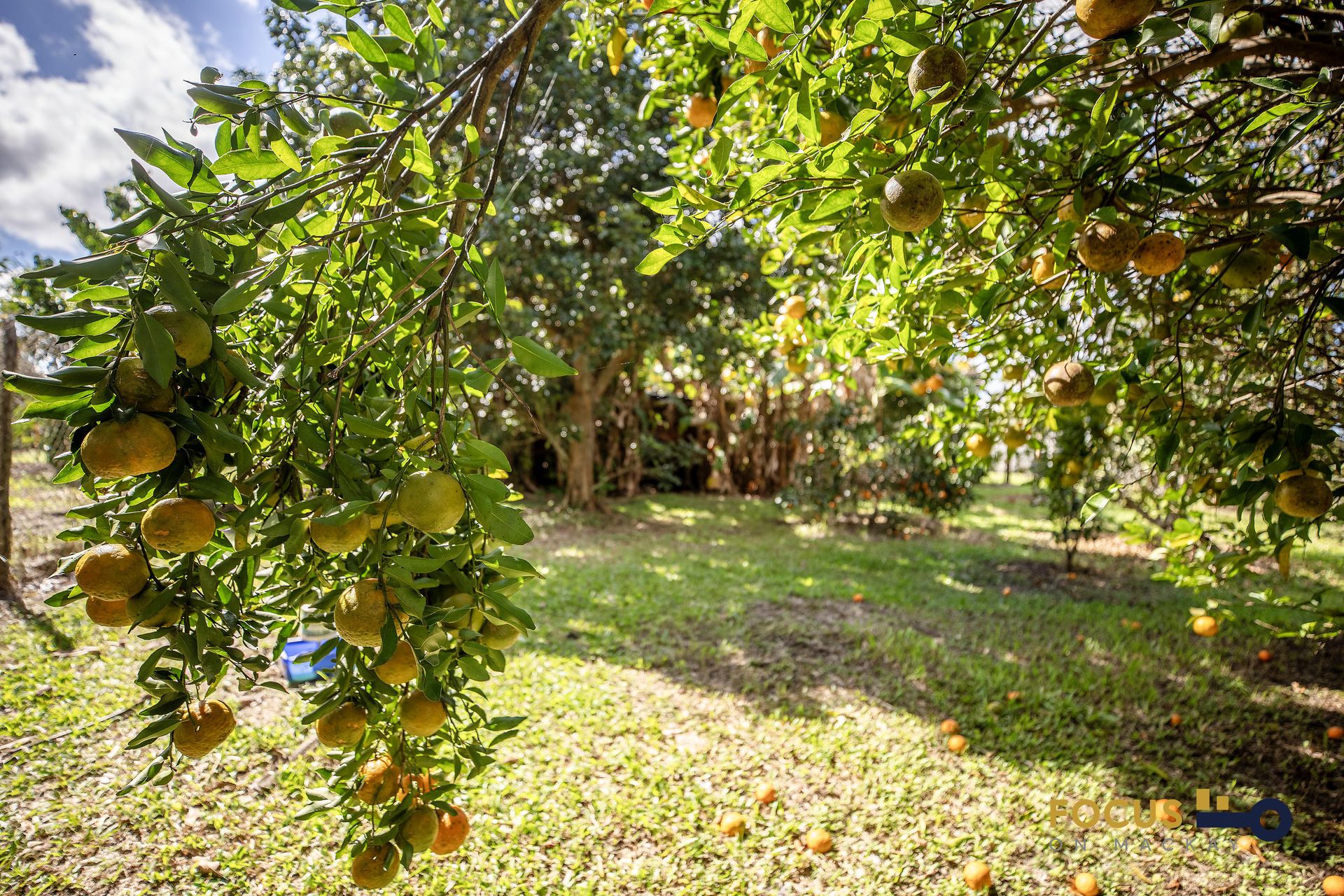 26 Austin Road, Victoria Plains