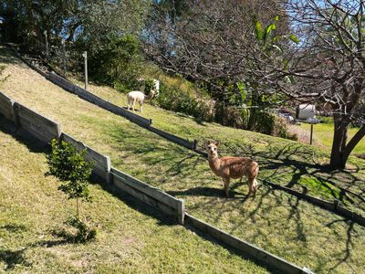 71 President Circle, Karalee