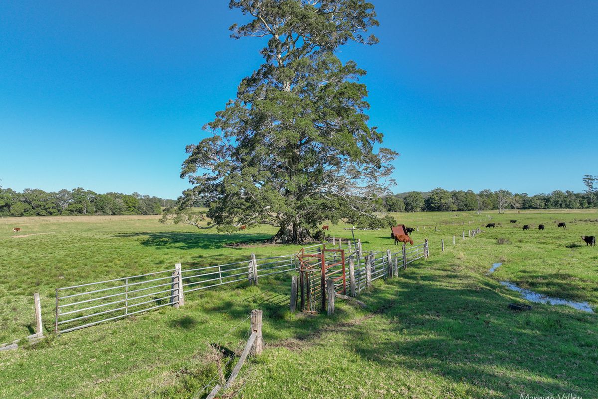 124 Burgmans Lane, Lansdowne
