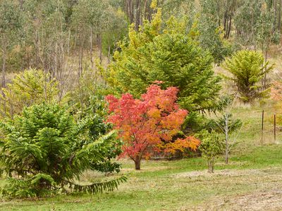 44 Heathcote-East Baynton Road, Heathcote