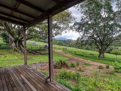 442A Blue Knob Road, Blue Knob