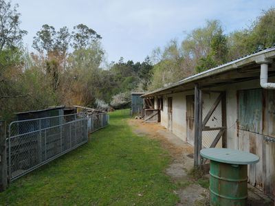 39 Paterson Road, Mosgiel