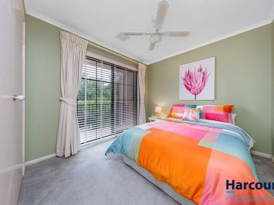 30 Diamond Street, Amaroo