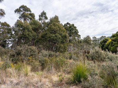 6 Brewis Place, Lake Leake