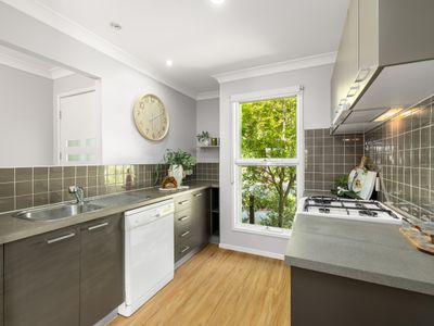 41 Carnarvon Avenue, Springfield Lakes