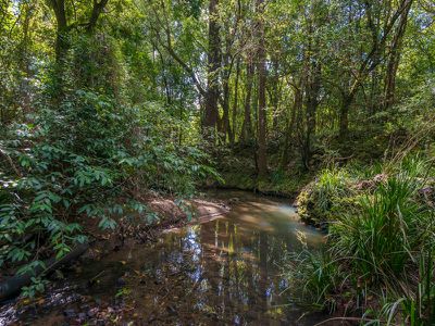 188 Stony Chute Road, Nimbin