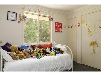 90 Blueberry Drive, Black Mountain