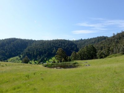 39 Crouchs Hill Road, Lucaston