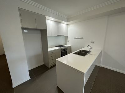 J313 / 81-86 Courallie Ave, Homebush West
