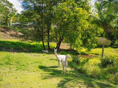 2 Shekinah Court, West Woombye