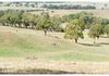 Lot 100 Emu Swamp Road, Orange