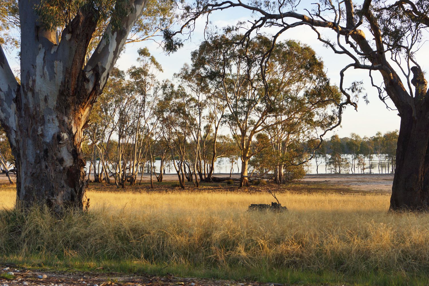 Lot 6, John McPhees Drive, Toolondo
