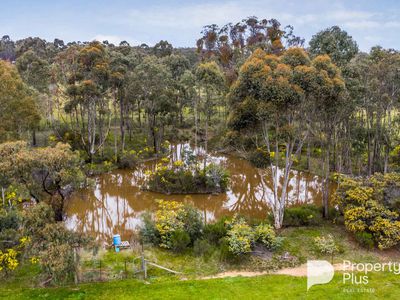 403 Ottreys Scrub Road, Walmer