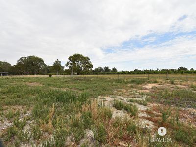 44 Shadforth Street, Oxley