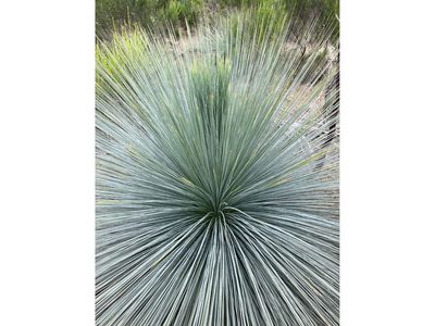 Lot 12 Heathcote-Nagambie Road, Moormbool West