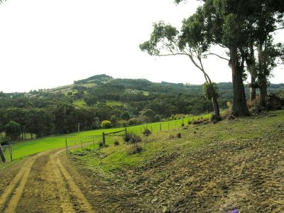 O'Hallarans Road, Geeveston