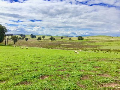 689 Mountain Creek Road, Mullengandra