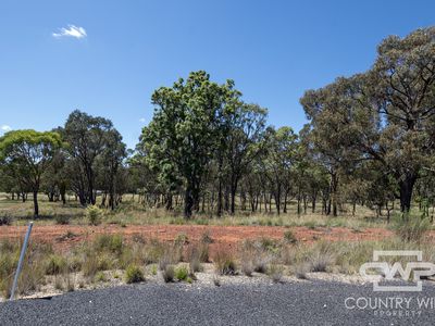 20 Marshall Way, Emmaville