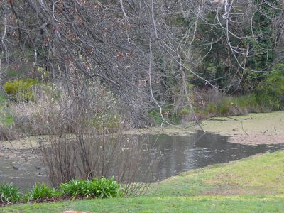 18 Church Street, Nagambie