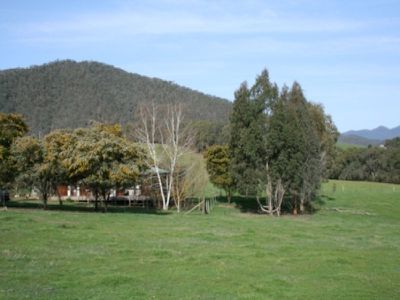 62 O'Connell Road, Mitta Mitta