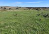 117 HILLSIDE LANE, Daroobalgie