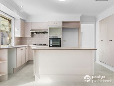 41 Como Court, Wattle Grove