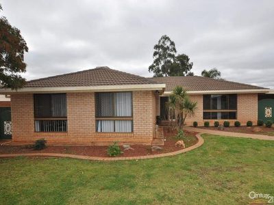 120 Birch Avenue, Dubbo