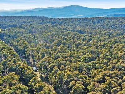 4320 Mansfield-Whitfield Road, Whitlands