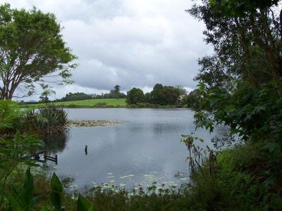 Maleny