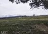 660 Kerrs Creek Road, Kerrs Creek