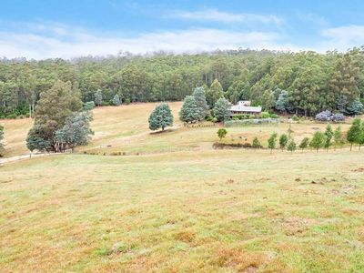 48 Arthurs Road, Pelverata