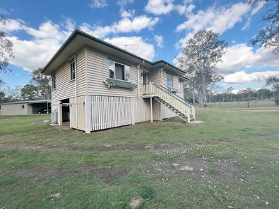 Wattle Camp