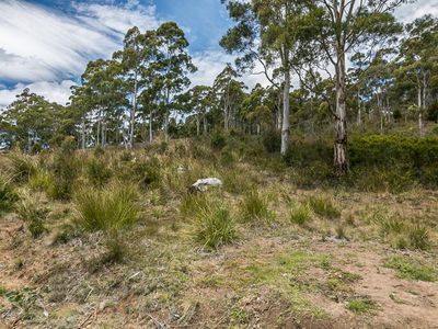 29 Cowen Joe Road, Gardners Bay