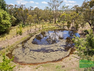 91 Windemere Road, Robin Hill