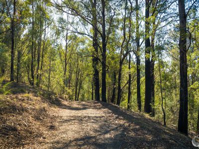 Lot 22 Barrabaroo Road, Cobargo